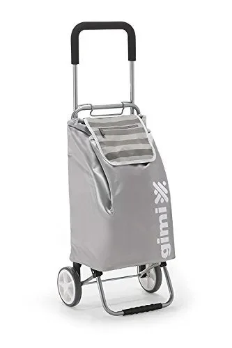 GIMI Flexi Carrello Portaspesa, Portata 30 kg, Telaio Richiudibile, Argento Saldi