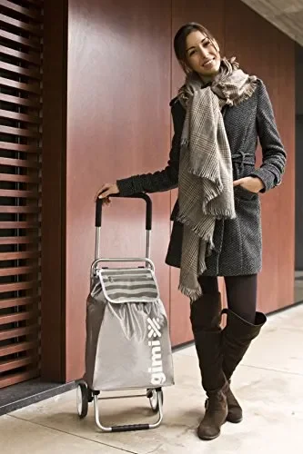 GIMI Flexi Carrello Portaspesa, Portata 30 kg, Telaio Richiudibile, Argento Saldi - immagine 3