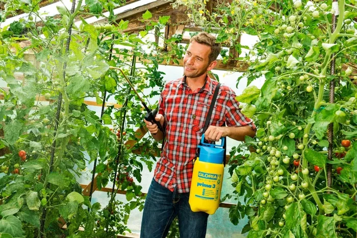 Gloria Nebulizzatore A Pressione Per Giardino, Capacità Di 3 L, Multicolore, 17 X 22 X 42 Cm - immagine 3