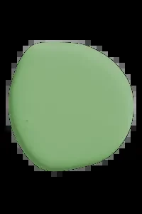 Graceful Green 700 ml