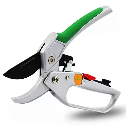 GRÜNTEK Forbici Cesoie da Potatura a Cricchetto per Giardinaggio Professionale Condor 20 cm