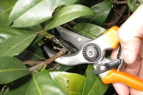 GRÜNTEK Forbici SPECHT Cesoie da Potatura. Lama 55 mm in acciaio, Taglio… - immagine 3