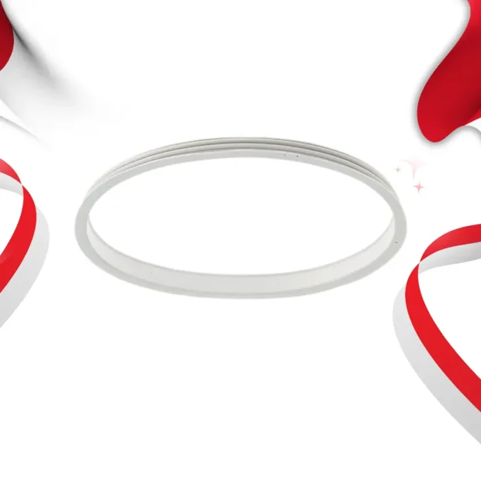 GUARNIZIONE CILINDRO Ugolini MINI Online ora