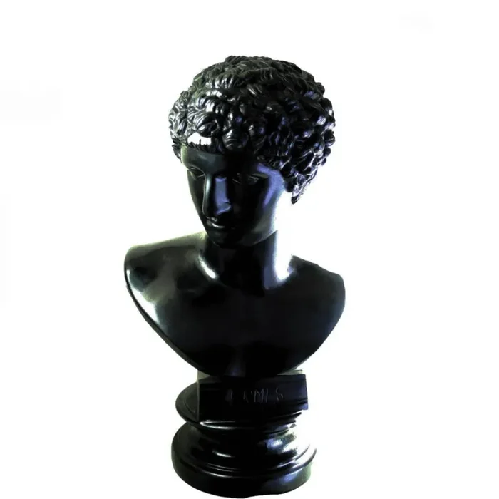 Hermes Testa in Bronzo