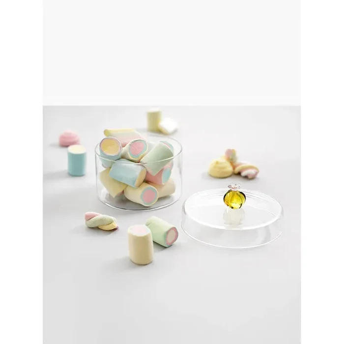 Ichendorf Milano Scatola Contenitore Cactus Ambra - immagine 2