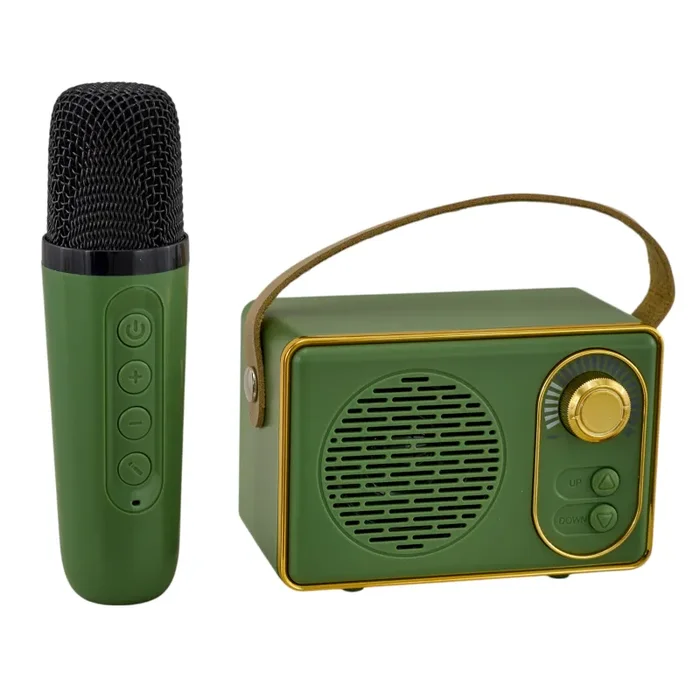 L’Arcolaio Karaoke magic Radio + Microfono Verde