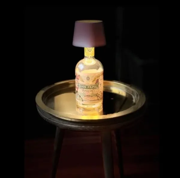 lampada bottiglia ricaricabile,lampada da tavolo senza fili,Controllo Touch da 3 Modalita Temperatura di Colore, per Soggiorno, Camere da Letto,1PZ - immagine 2