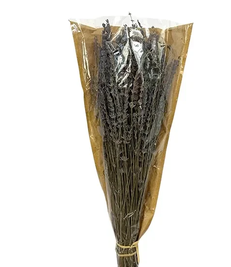 LAVANDA ESSICATA (100gr-55cm)