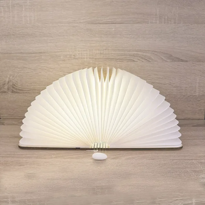 Libro Luminoso Cuore Matto - immagine 2