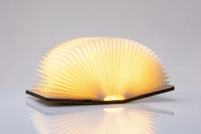 LIBRO LUMINOSO PICCOLO (16x9cm)