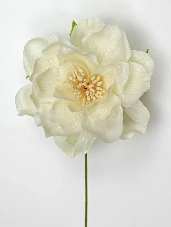 Linea Due Elle Peonia Polyester D 7,5 Cm Avorio 6 Pz