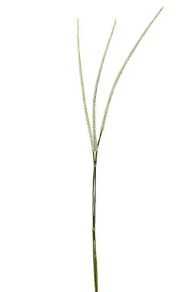 Mazzo Equiseto Dei Campi Plastica Bianco 119CM