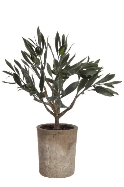 MINI ULIVO IN VASO VERDE (17x13xh.33cm)