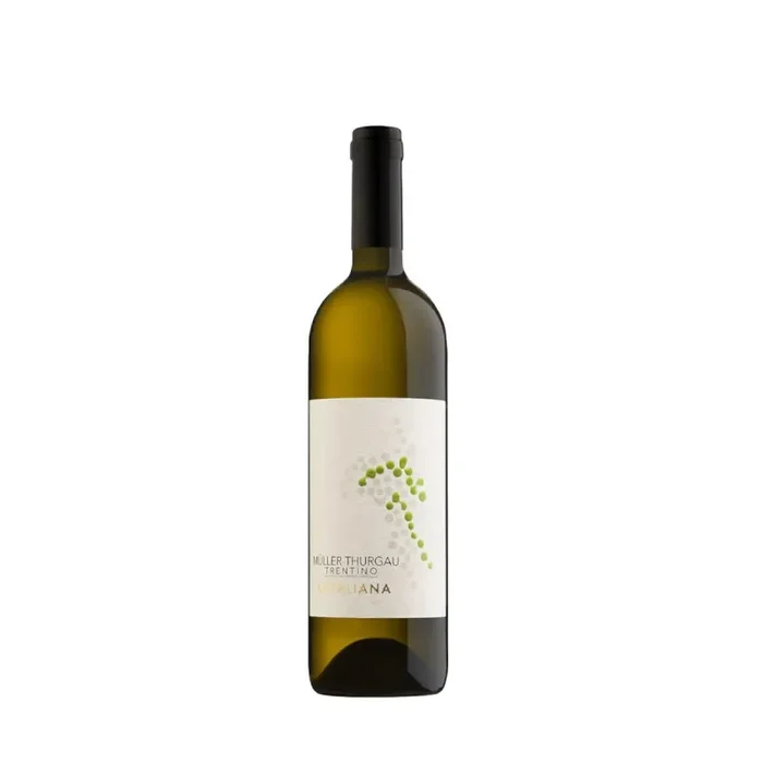 Muller Thurgau Trentino 2023 – Cantina Rotaliana