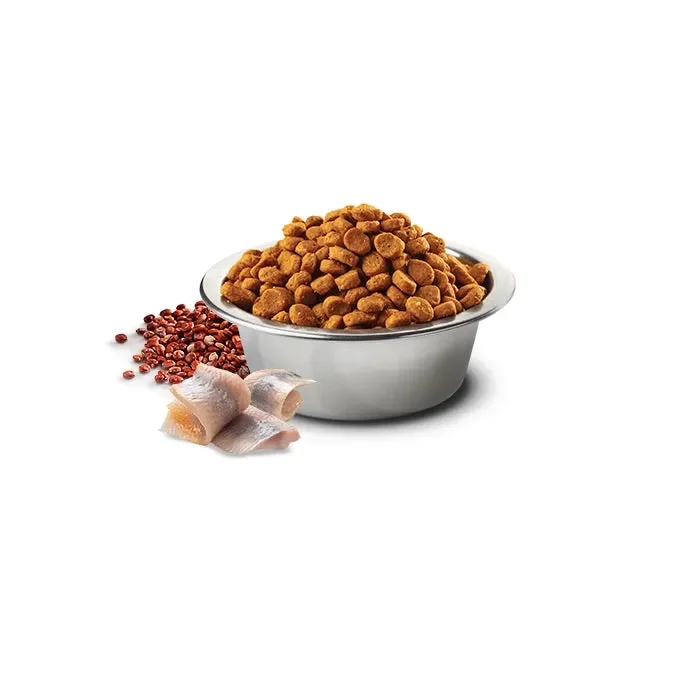 N&D Quinoa Dog Skin&Coat Aringa, quinoa e cocco Adult - immagine 2