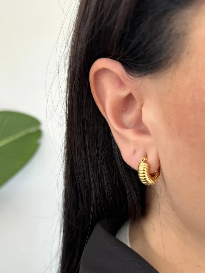 Orecchini Mina Small