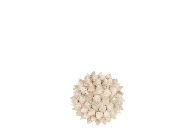 PALLA CONCHIGLIE NATURALE DIAM 7.5 CM