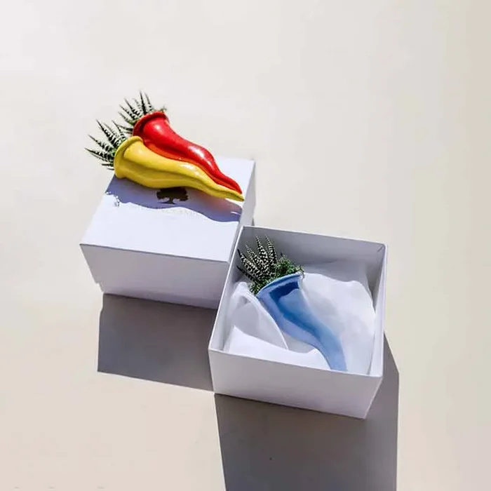 Paola Rolando Pianta Grassa in Cornetto H14 cm Giallo - immagine 2