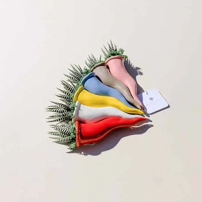 Paola Rolando Pianta Grassa in Cornetto H14 cm Giallo - immagine 3