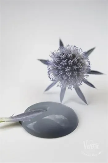 Petrol Blue - immagine 2