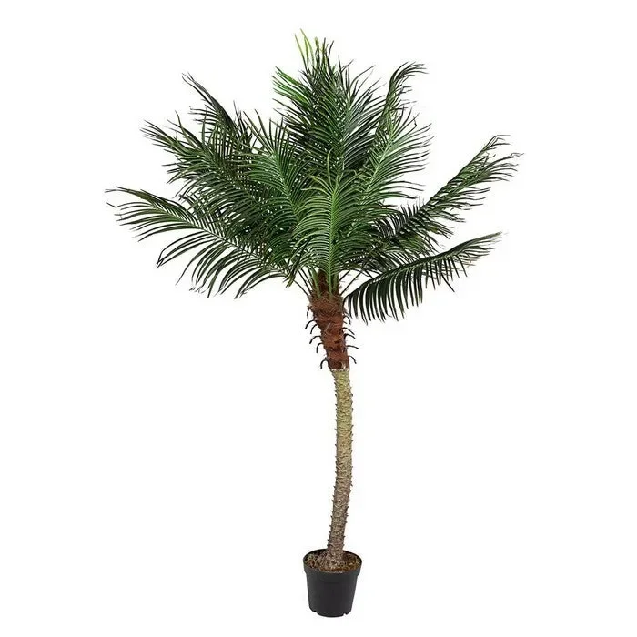 Pianta artificiale con vaso 210 cm – Palma