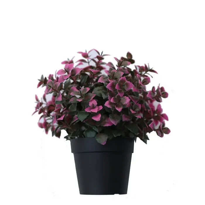 Pianta artificiale in vaso – Pachisandra