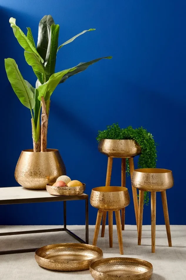 PIANTA BANANO - immagine 3