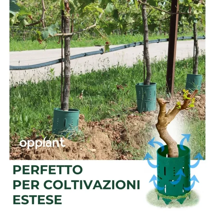 Plant Protection System - immagine 3