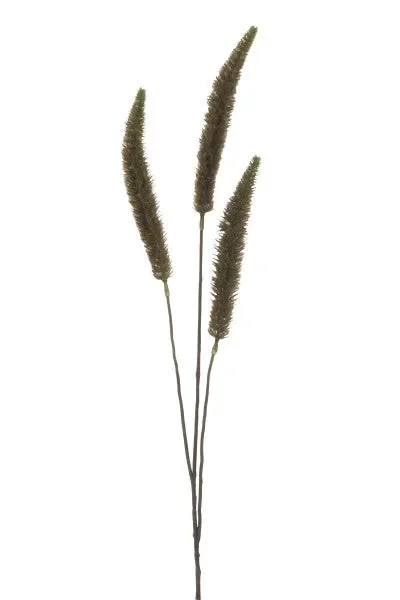 Ramo Banksia 3 Parti Plastica Verde Salvia H.91cm