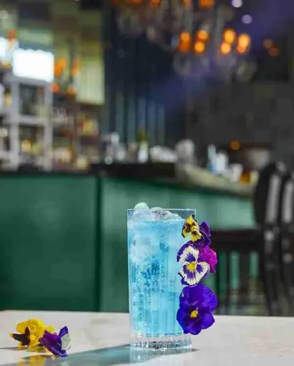 RCR Cristalleria Italiana Timeless – HB – Set da 6 Bicchieri Long Drink in Vetro - immagine 2