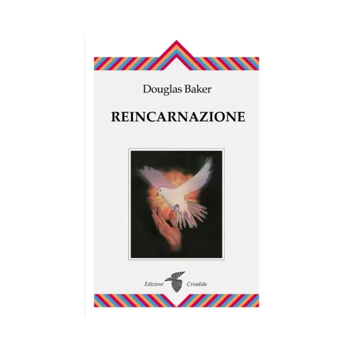 Reincarnazione Fornitura