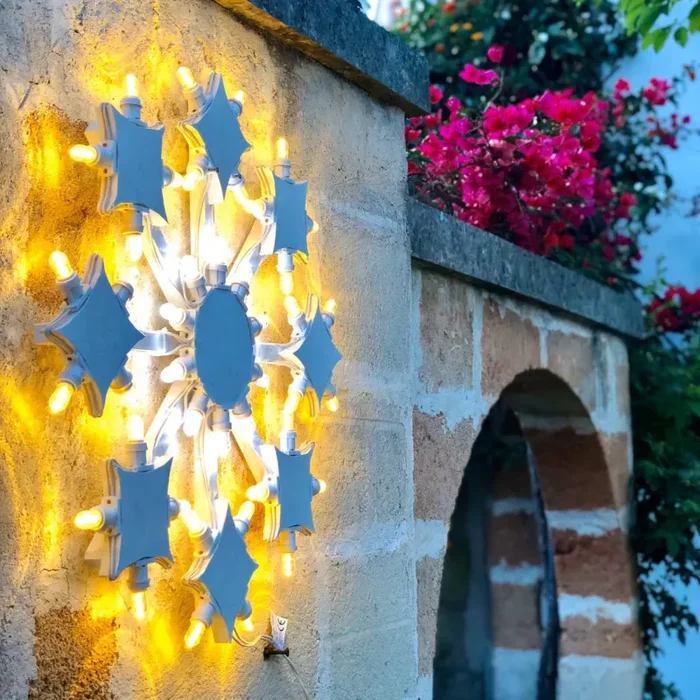 Rizzo Piccolo - immagine 2