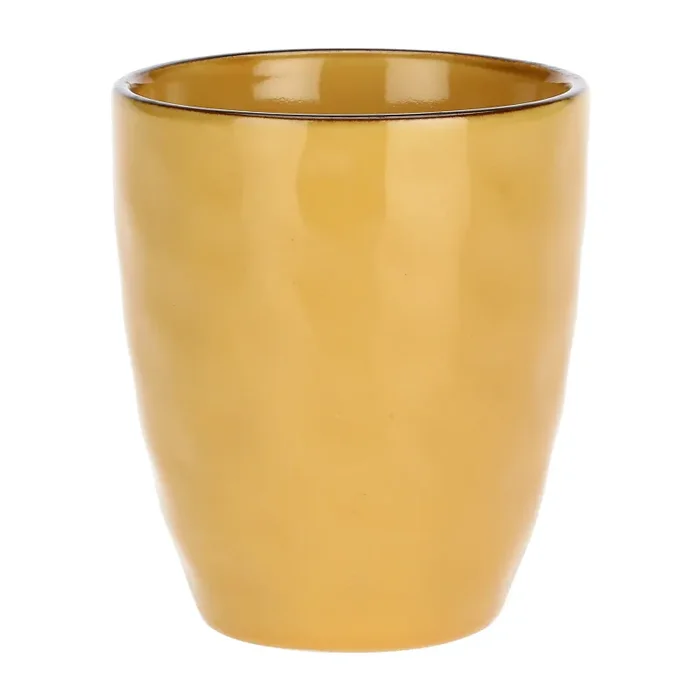 ROSE & TULIPANI Concerto Ocra Set 2 Bicchieri Acqua