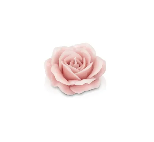 ROSELLINA BOMBATA CIPRIA (7X3H)