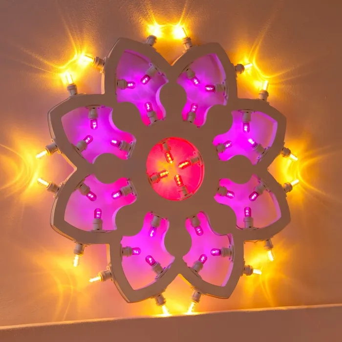 Rosoncino Oxford - immagine 2