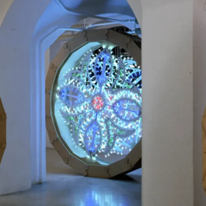 Rosone Coda di Rondine Vendita calda online - immagine 3