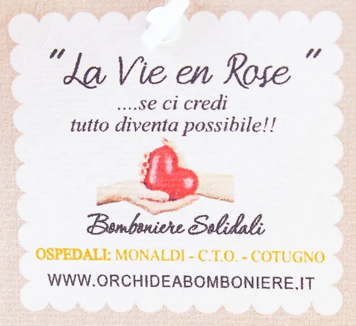 Sacchetto Pochette con Fiori Tiffany e Sali Profumati La Vie en Rose - immagine 3