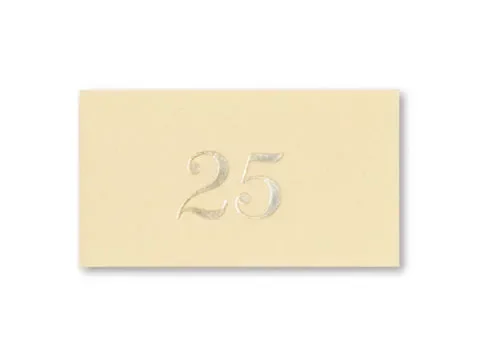 Saul Sadoch Biglietti 25 Argento per Bomboniera 20 Pz Bianco