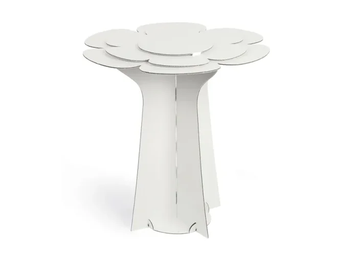 Scotton Alzata Fiore 600 x 580 Mm Cartoncino Bianco