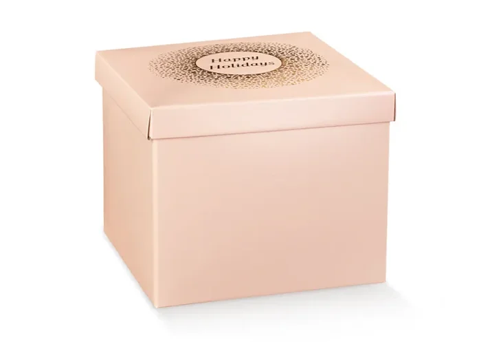 Scotton Scatola con Coperchio 300 x 300 x 240 Mm Spot Cipria