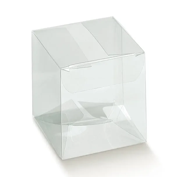 Scotton Scatola Scatto 100 x 100 x 120 Mm Trasparente 10 Pz In saldo