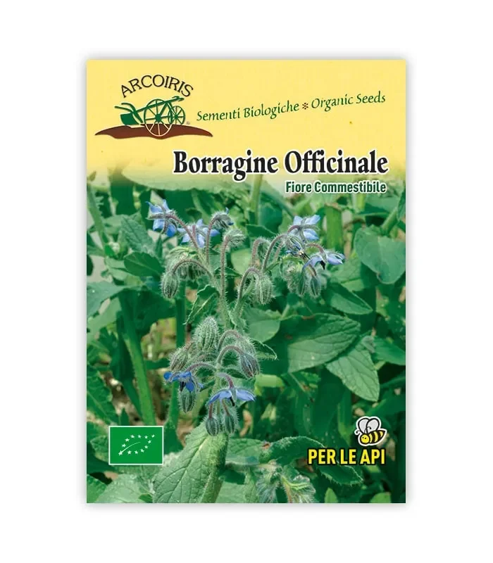 Semi da fiore bio – Borragine Vendita calda online