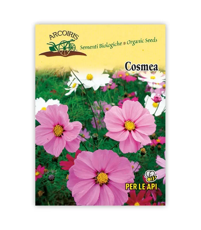 Semi da fiore bio – Cosmea Moda