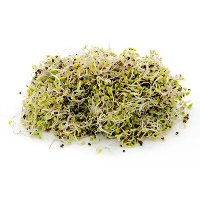 Semi da germoglio – Cavolo nero di Toscana Salus Vendita calda online - immagine 2