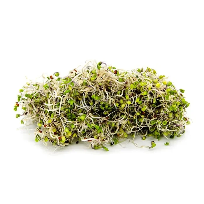 Semi da germoglio – Cavolo Verde Osiride - immagine 2