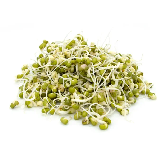 Semi da germoglio – Fagiolo Mungo Isidoro Vendita calda - immagine 2