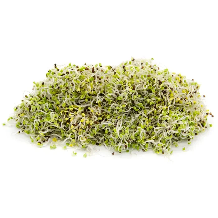 Semi da germoglio – Pak Choi Panda - immagine 2