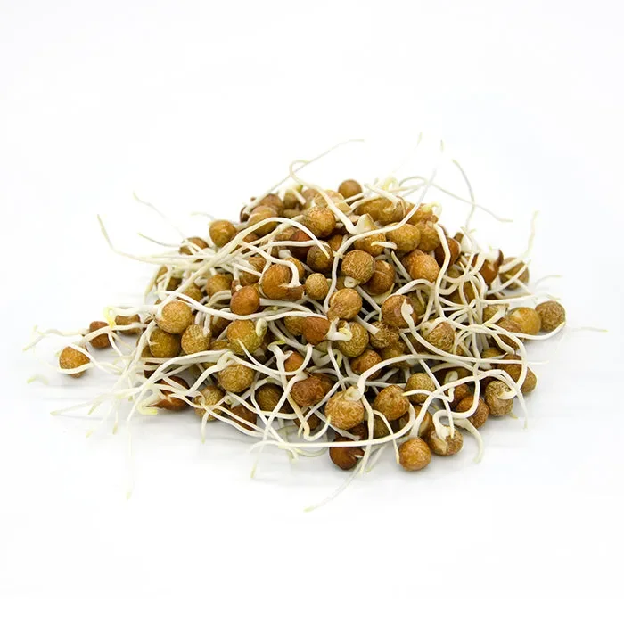 Semi da germoglio – Pisello verde Efesto - immagine 2