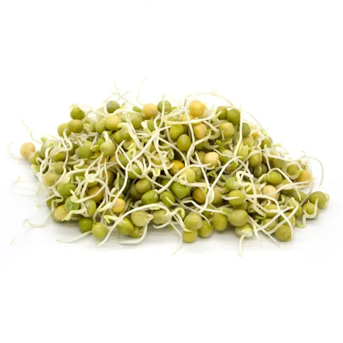 Semi da germoglio – Pisello verde Viridios - immagine 2