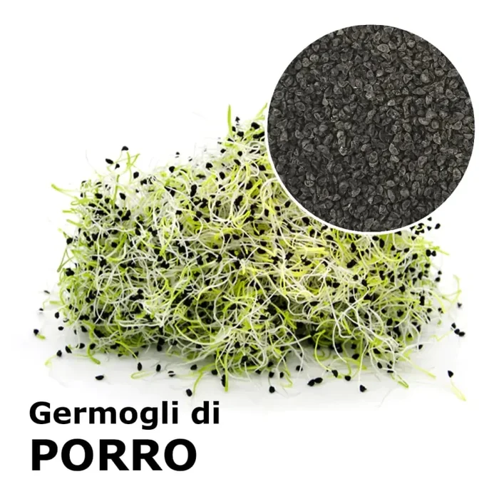 Semi da germoglio – Porro Matteo